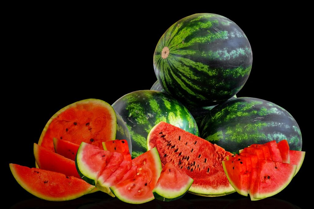 cantaloupe-planting-season cantaloupe-planting-season