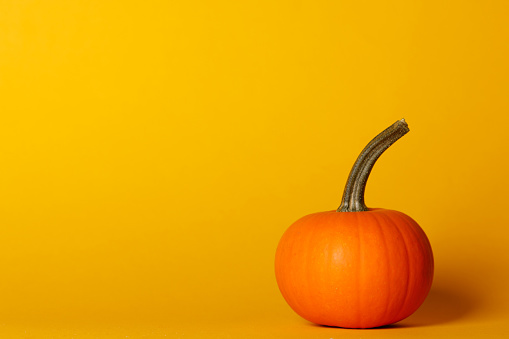 fake-pumpkins-for-sale fake-pumpkins-for-sale