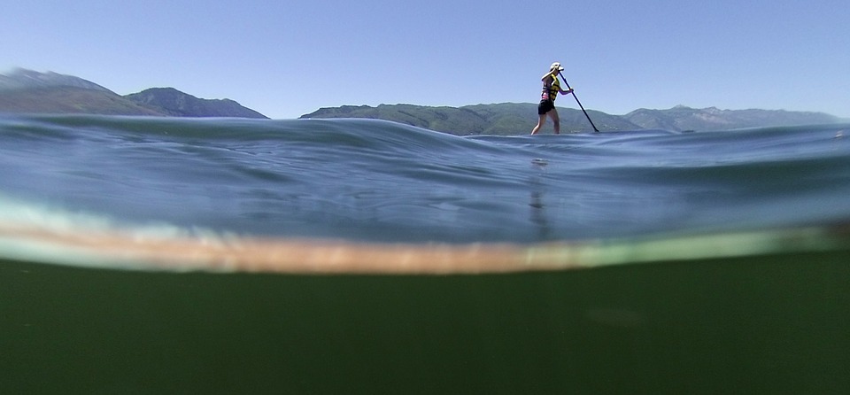 freein sup review