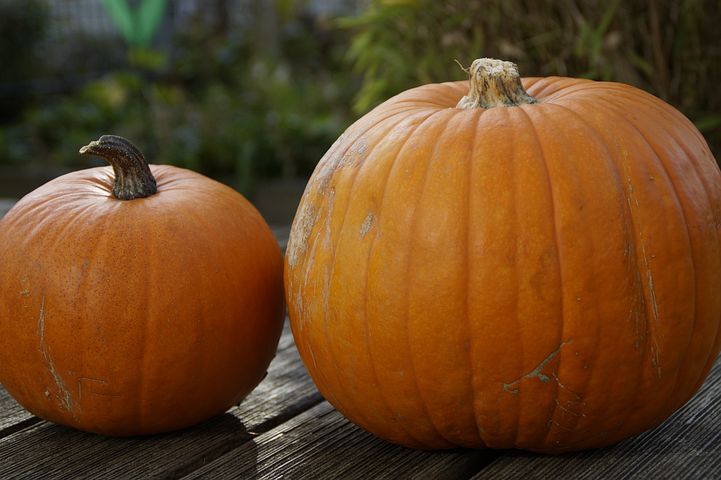 pumpkins-for-sale pumpkins-for-sale